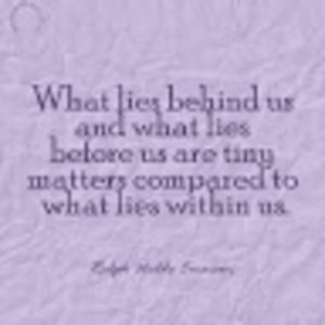 Meet your Posher, Donnalee